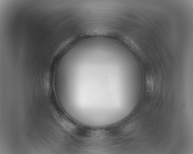 X0000075360396200609151642