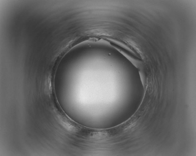 X0000075360398200609151642