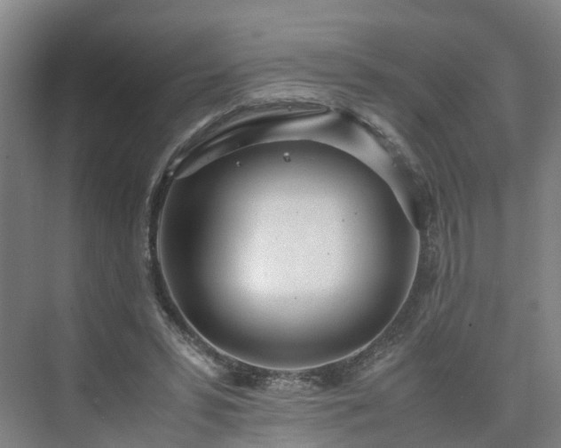 X0000075360399200609151642