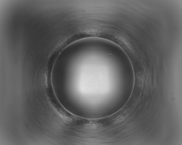 X0000075360404200609151642