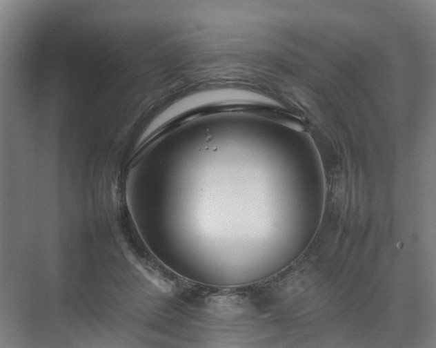 X0000075360408200609151642