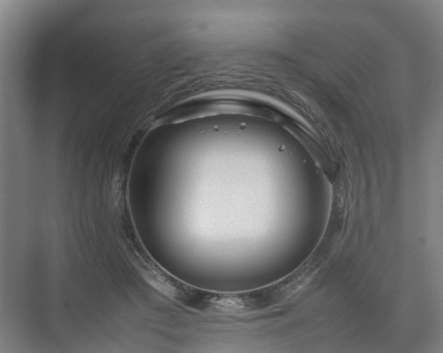 X0000075360409200609151642