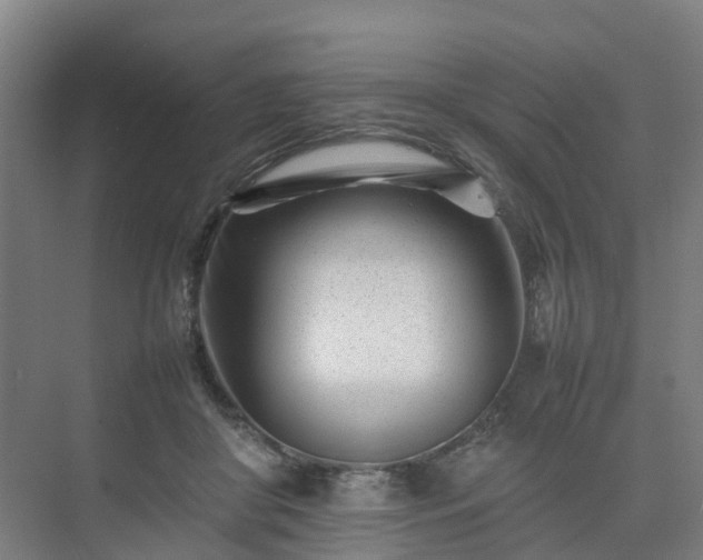 X0000075360410200609151642