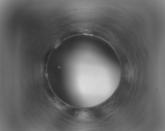 X0000075360412200609151642