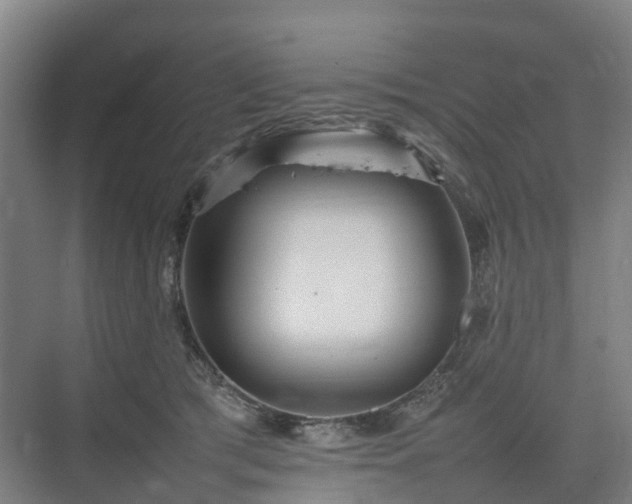 X0000075360417200609151642