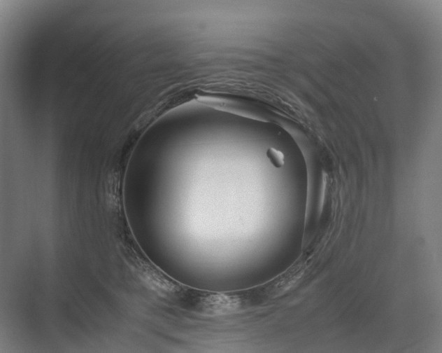 X0000075360421200609151642