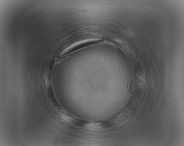 X0000075360422200609151642