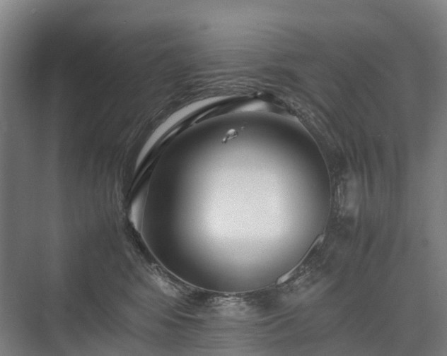 X0000075360424200609151642