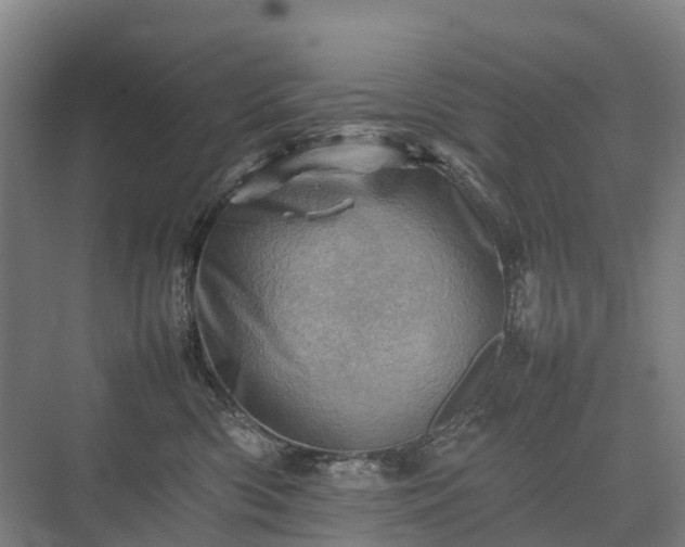 X0000075360426200609151642