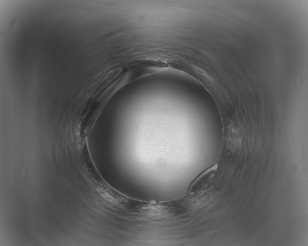 X0000075360428200609151642