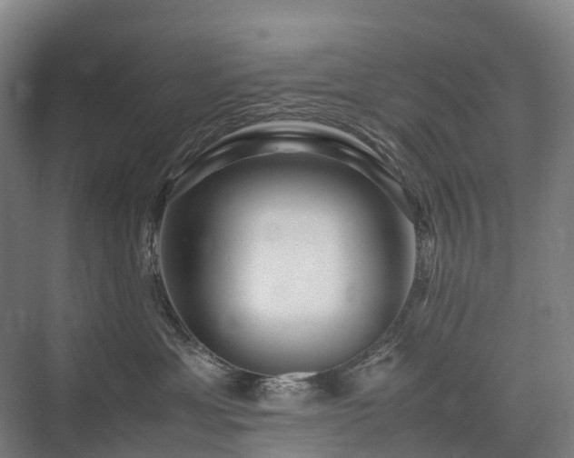 X0000075360429200609151642