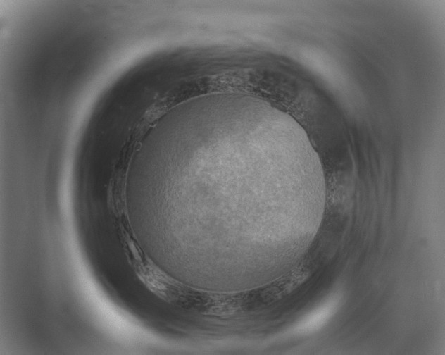 X0000075360431200609151642