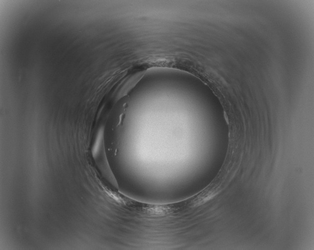 X0000075360432200609151641