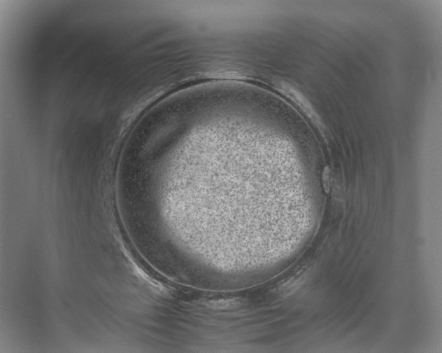 X0000075360433200609151641