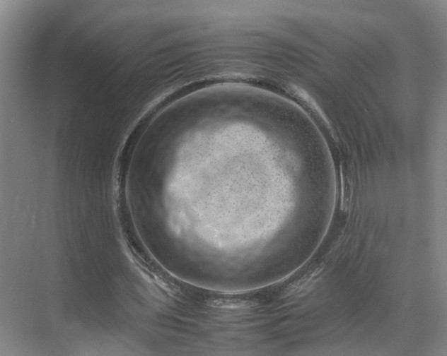 X0000075360435200609151641