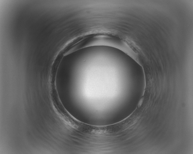 X0000075360440200609151641