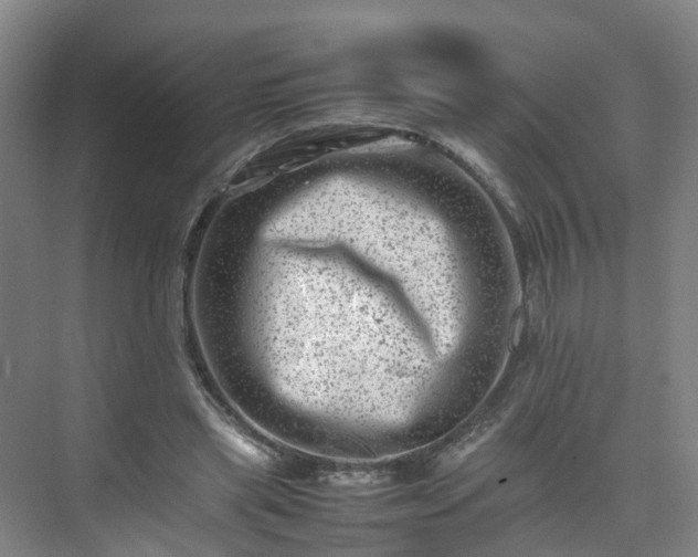 X0000075360445200609151641