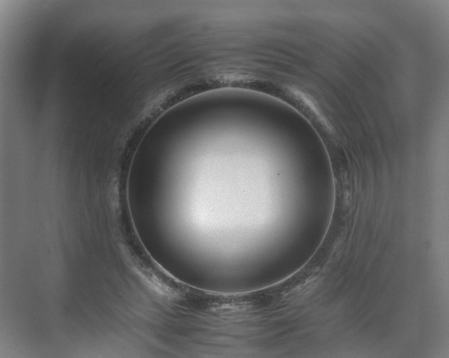 X0000075360447200609151641