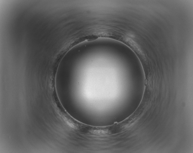 X0000075360449200609151641