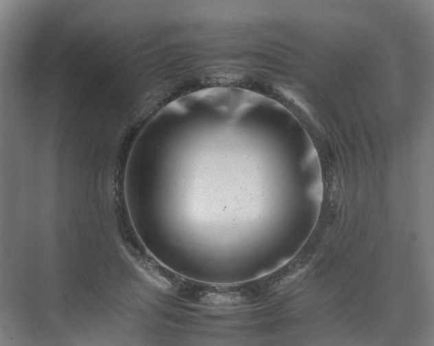 X0000075360455200609151641