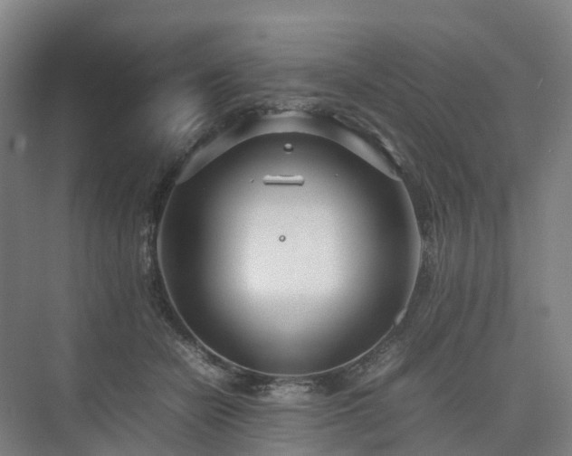 X0000075360462200609151641