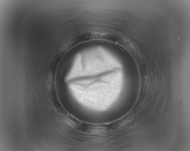 X0000075360463200609151641