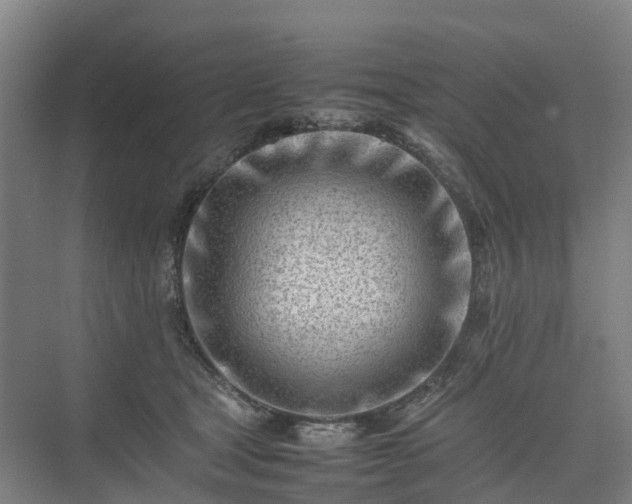 X0000075360465200609151641