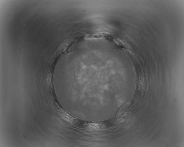 X0000075360473200609151641