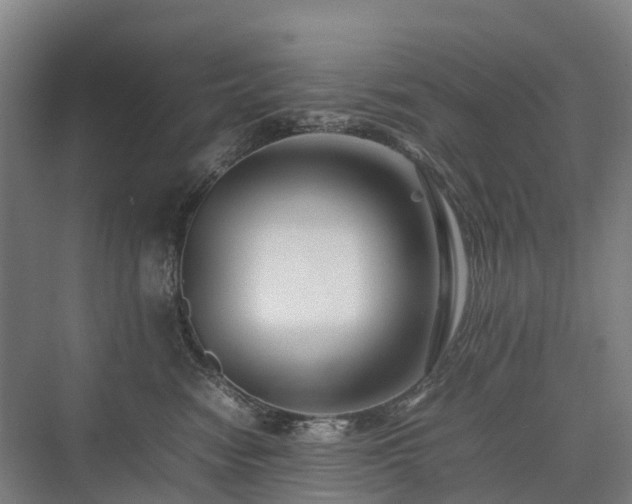 X0000075360474200609151641