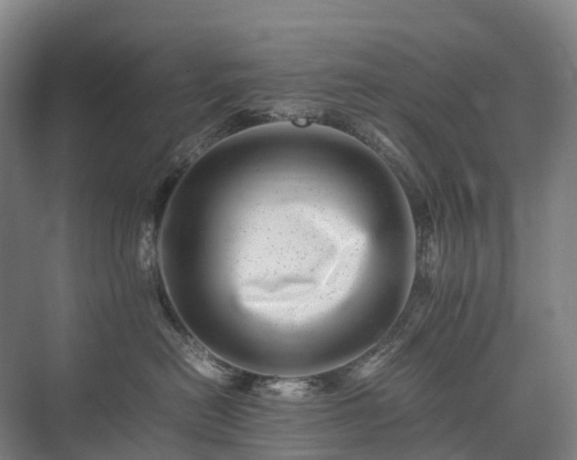 X0000075360478200609151641