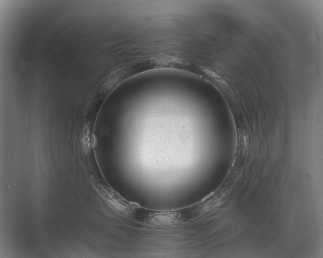 X0000075360479200609151641