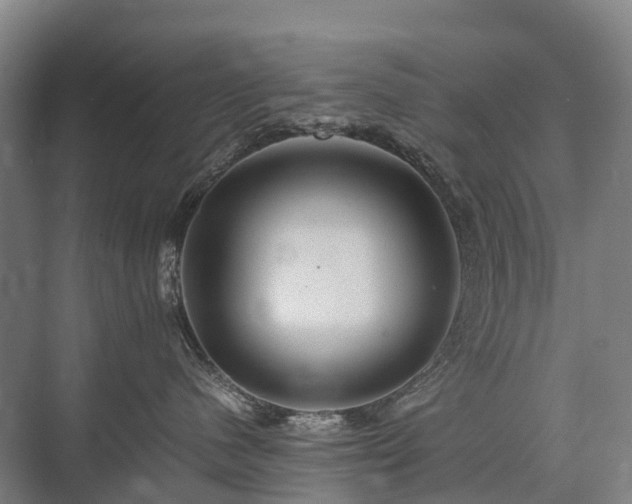 X0000075360480200609151641