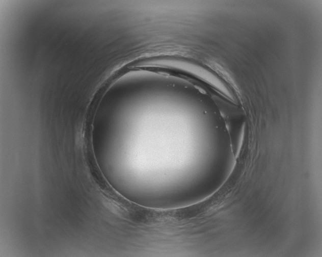 X0000075360483200609151641