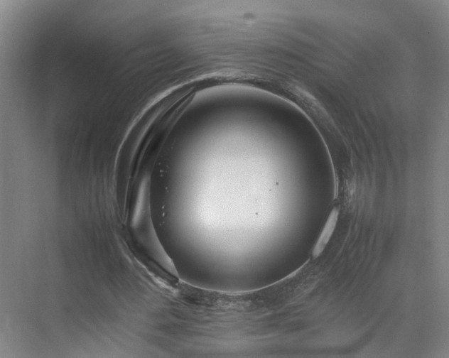 X0000075360484200609151641