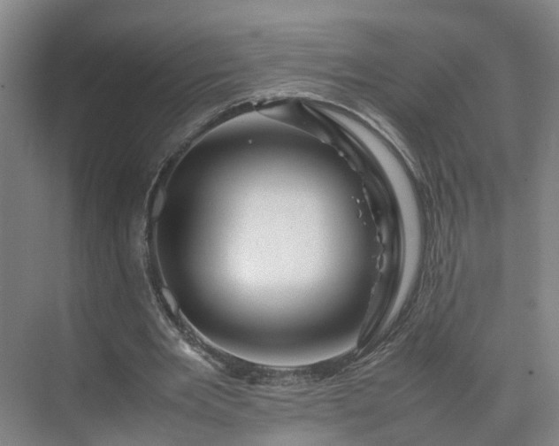 X0000075360485200609151641