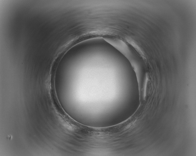 X0000075360486200609151641