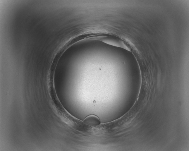 X0000075360487200609151641