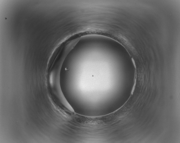 X0000075360488200609151641