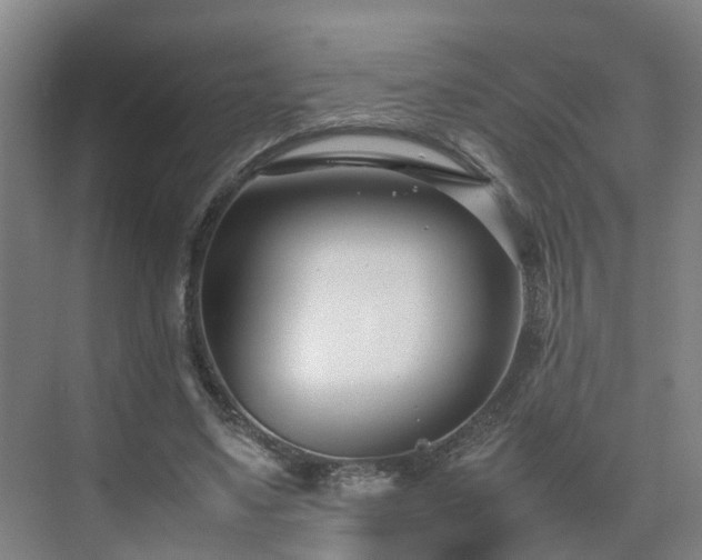 X0000075360491200609151640