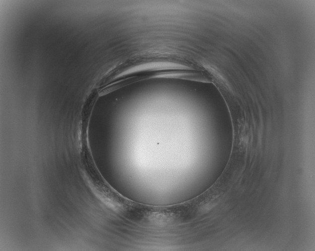 X0000075360494200609151640