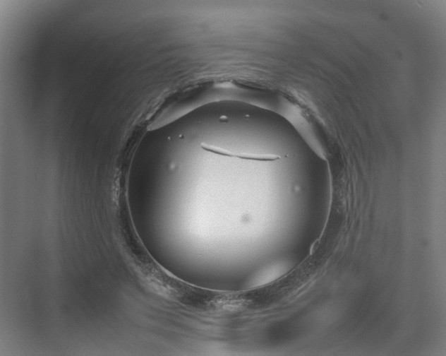 X0000075360495200609151640