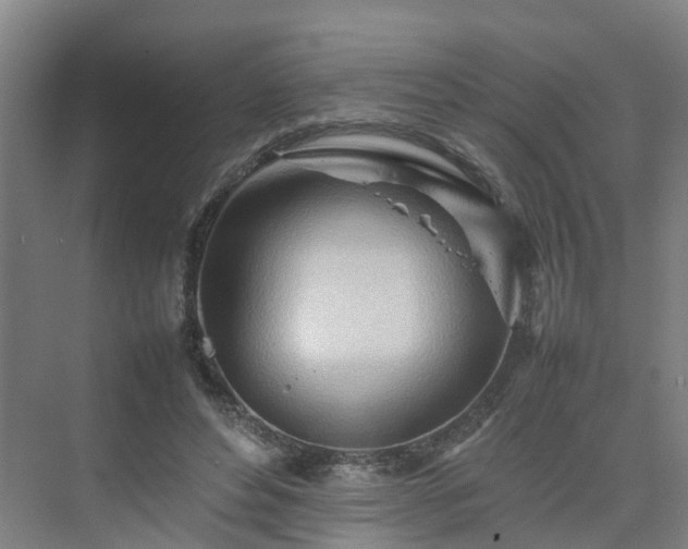 X0000075360496200609151640