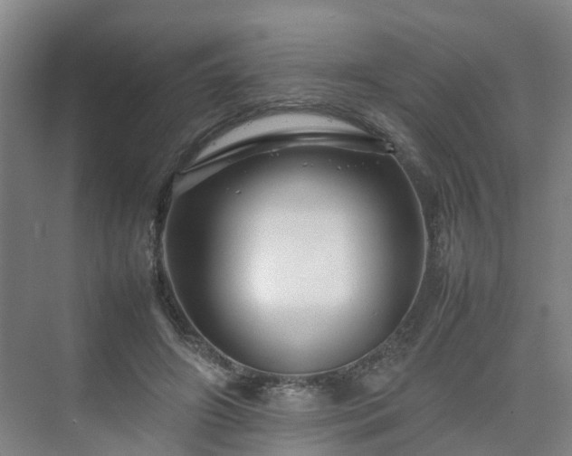 X0000075360498200609151640