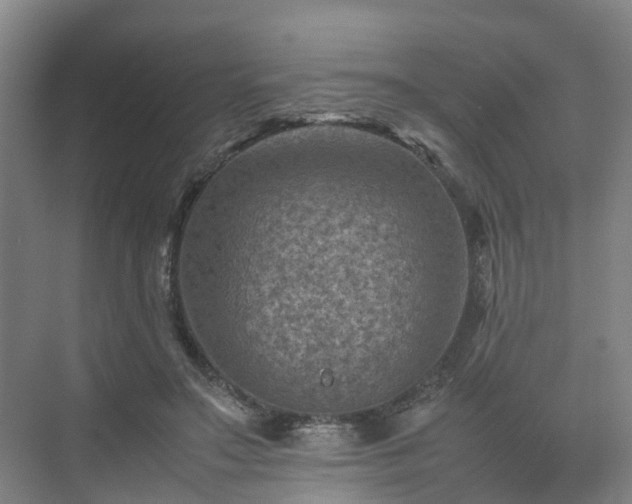 X0000075360499200609151640