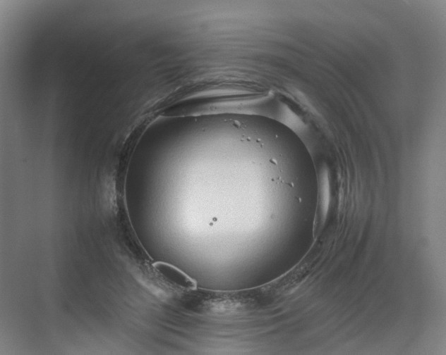 X0000075360500200609151640