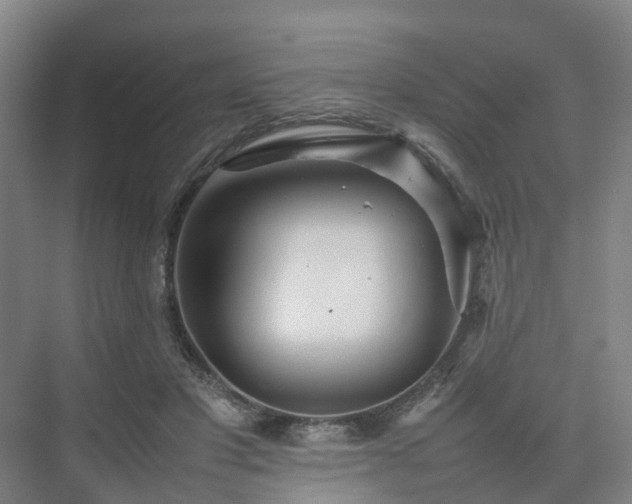 X0000075360501200609151640