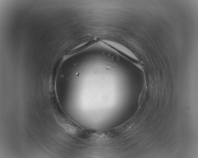 X0000075360502200609151640