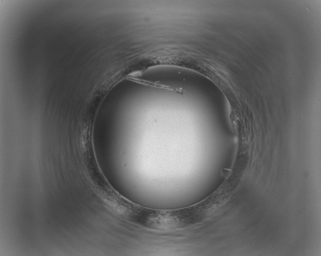 X0000075360503200609151640