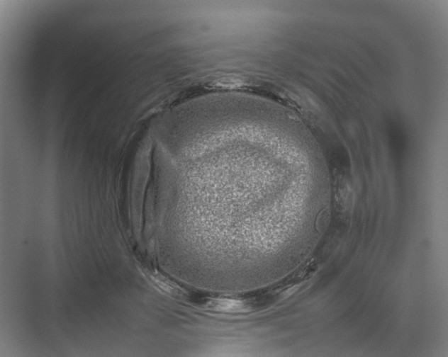 X0000075360507200609151640