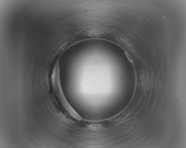 X0000075360508200609151640